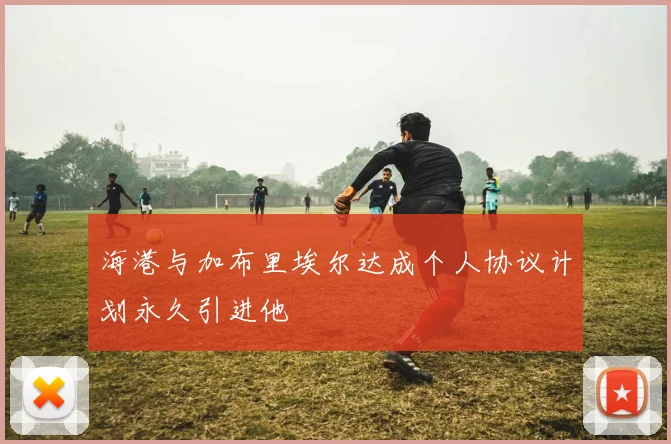 海港与加布里埃尔达成个人协议计划永久引进他